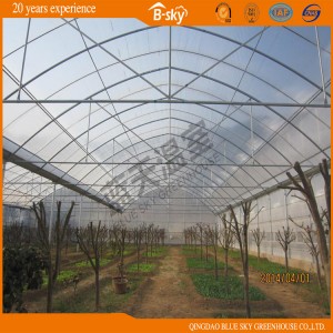 Low Cost Arch Structure Multi-Span Film Greenhouse