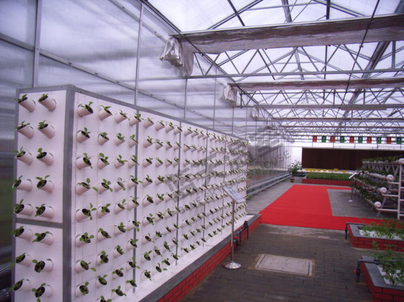 Polycarbonate Board Multi-Span Greenhouse