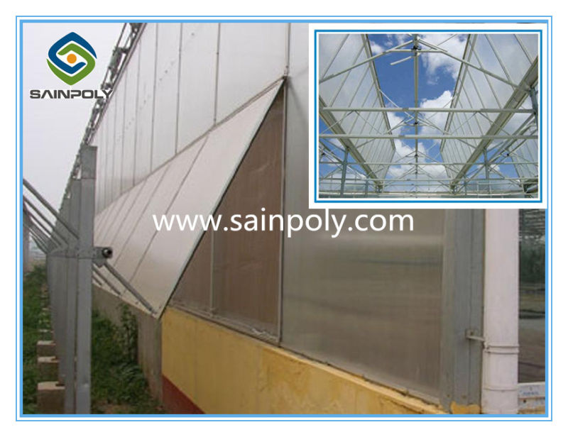 Sainpoly Brand Best Selling PC Greenhouse for Vegetable