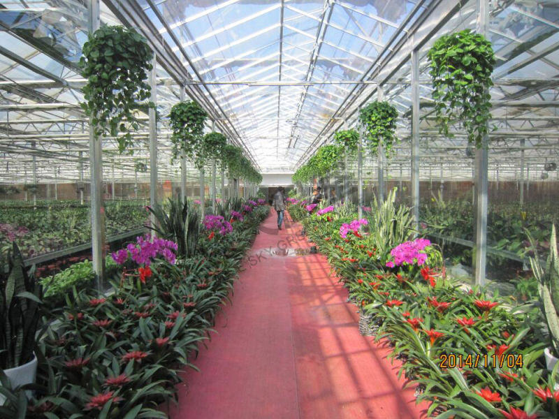 High Cost Performance Film Roof Glass Wall Greenhouse for Planting Vegetables