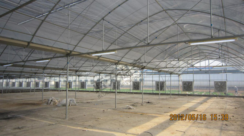 Hot Sale Film Greenhouse Multi-Span Style