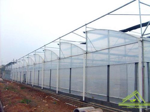 Zigzag Roof Film Greenhouse Fz90f40