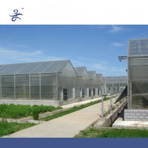 Venlo PC Agricultural Greenhouse