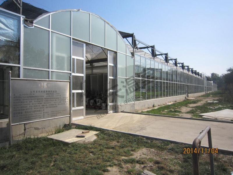 Long Lifespan Plastic Film Green House for Planting Flowers