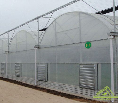 Multi-Span Gothic Film Greenhouse FL