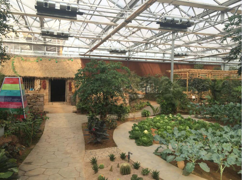 Glass Greenhouse Top Covered by PC Sheet Used as Eco Hotel