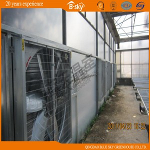 Plastic Film Greenhouse for Planting