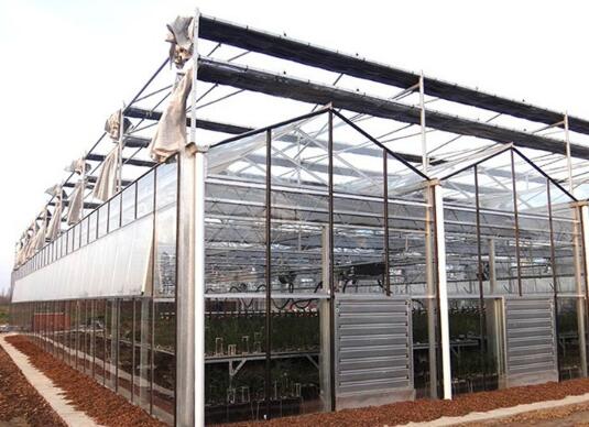 Venlo Glass Cover Greenhouse