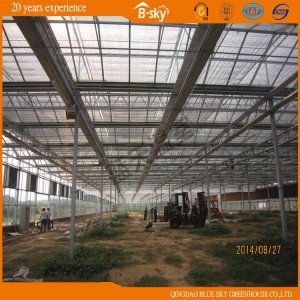 Venlo Multi-Span Glass Greenhouse