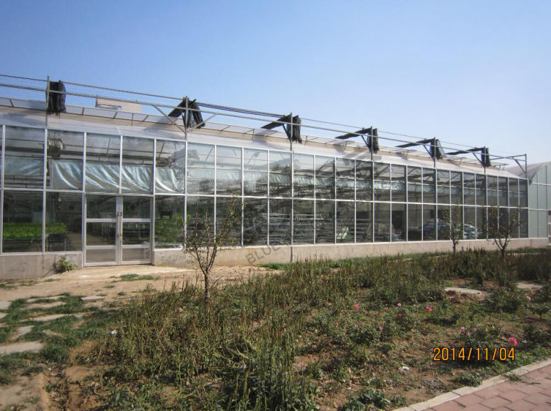 Long Lifespan Plastic Film Green House for Planting Flowers