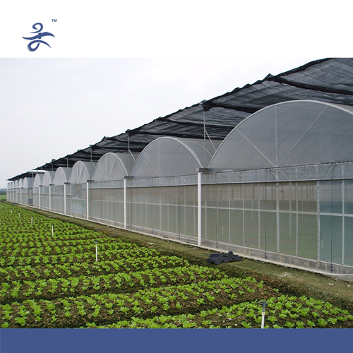 Tomato Greenhouse Greenhouse for Tomatoes/ Cucumber/ Peppers Multi-Span Film Greenhouse Low Cost for Farming Plastic Greenhouse