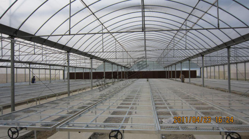Plastic Film Greenhouse for Planting
