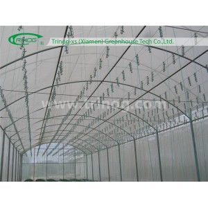 Commercial Tunnel Film Greenhouse for Tomato Growing