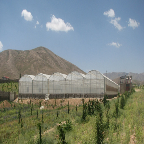 High Quality Greenhouse Steel Structure 039 for EU Type