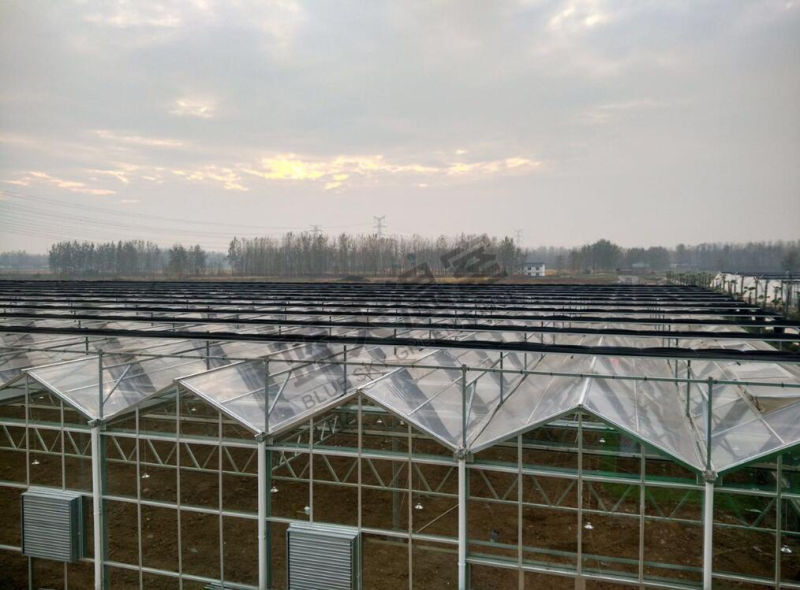 Hot Galvanized Steel Frame Plastic Film Green House