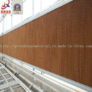 Greenhouse with Cooling Pad for Cooling Purpose