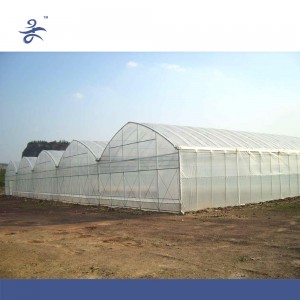 Tomato Greenhouse Greenhouse for Tomatoes/ Cucumber/ Peppers Multi-Span Film Greenhouse Low Cost for Farming Plastic Greenhouse