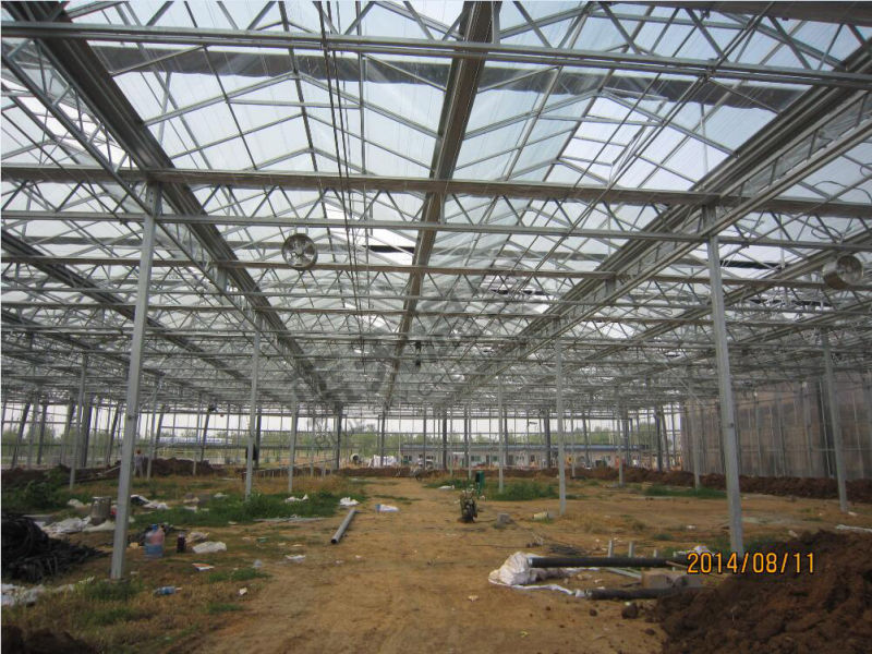 Automatic Control Glass Greenhouse