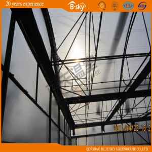 High Output Plastic Film Greenhouse for Planting Fruits and Vegetables