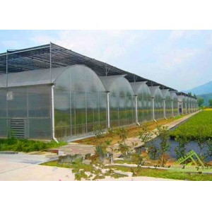 Multi-Span Gothic Film Greenhouse $ Cheap