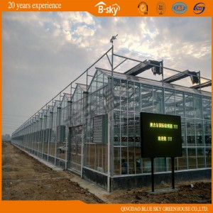 High Heat Insulation Performance F-Clean Film Greenhouse