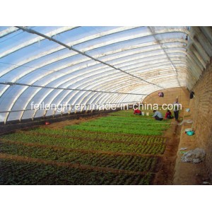 Solar Greenhouse Sun Room/House