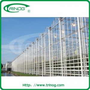 Commercial Glass Greenhouse for large scale farm