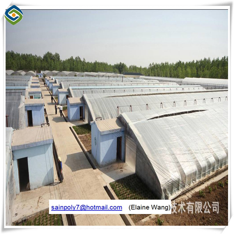 Nft Nutrient Film Hydroponics System Greenhouse