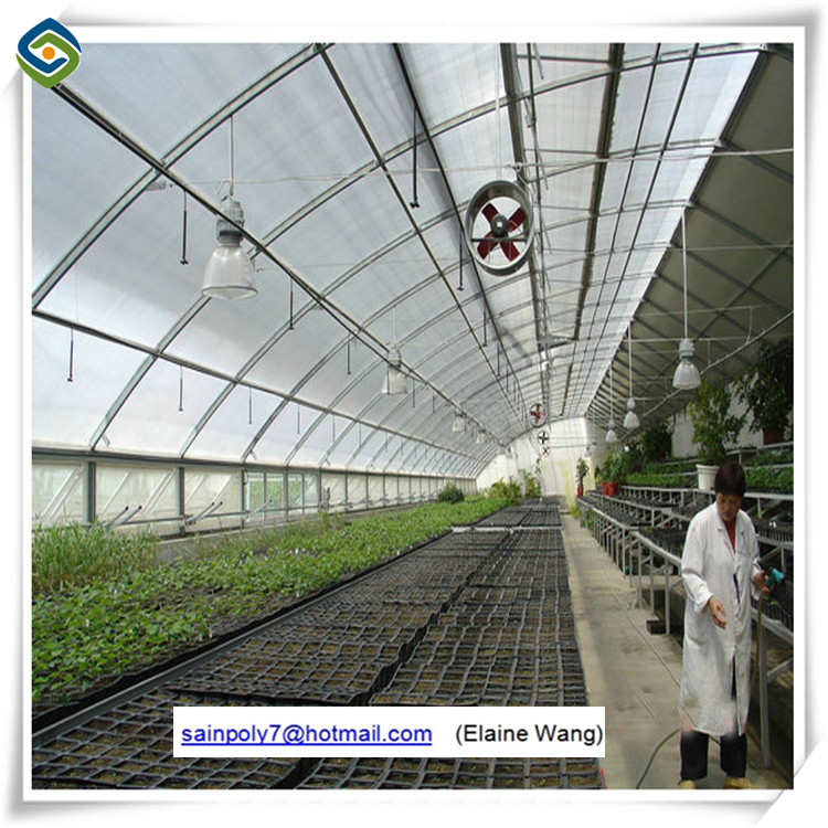 Nft Nutrient Film Hydroponics System Greenhouse