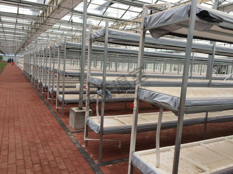 Multi-Span Film Greenhouse