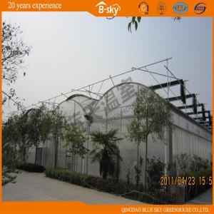 Good Cost Performance Polycarbonate Sheet Greenhouse