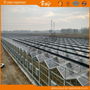 Hot Galvanized Steel Frame Plastic Film Green House