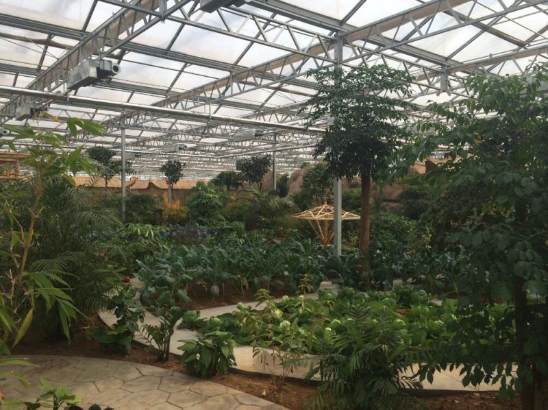 Good Appearance Multipurpose Greenhouse