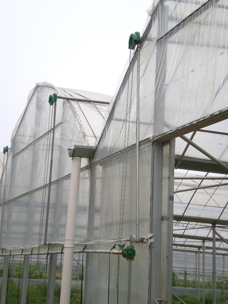 High Quality Wriggle Wire for Greenhouse