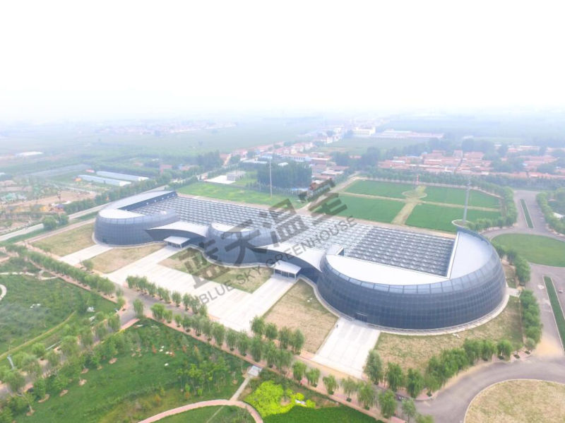 Agricultural Multispan Glass Greenhouse for Planting Lettuce