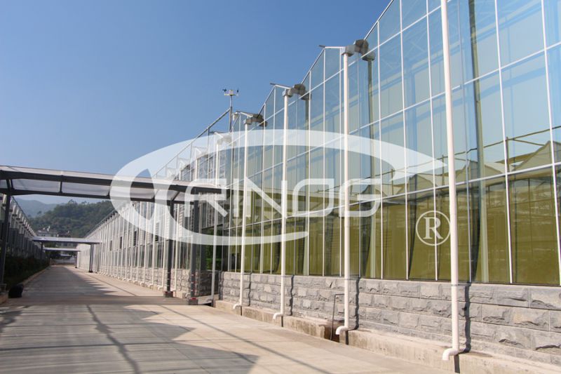 Highly strong glass greenhouse with butterfly vent
