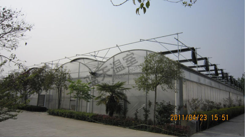 Widely Used Low Cost PC Steet Greenhouse