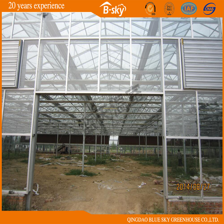 Beautiful Appearance Long Life-Span Glass Greenhouse