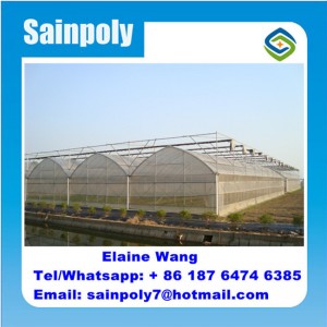 Low Cost Plastic Tunnel Greenhouse for Agriculture for Sale