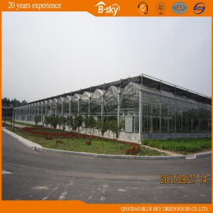 Extensively Used Venlo Type Glass Greenhouse for Planting