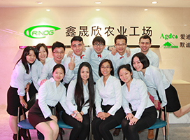 Advanced Hydroponics Greenhouse for Vegetable