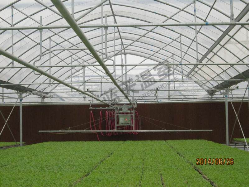 Good Look High Quality Single-Layer Film Greenhouse