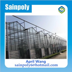 Low Price Glass Multi-Span Greenhouse for Potato Low Price Glass Multi-Span Greenhouse for Potato