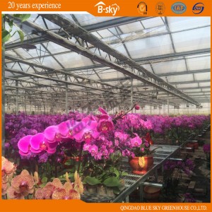 Multi-Span Glass Greenhouse with Auto environment Control System