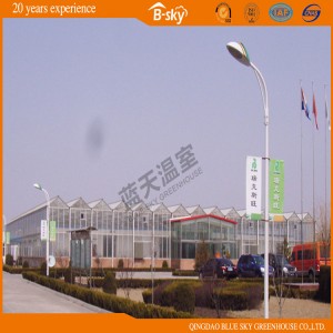 Polycarbonate Board Covered Muilti-Span Greenhouse