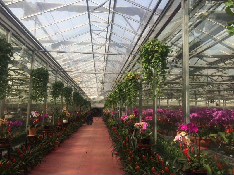 High Yield Glass Greenhouse with Auto environment Control System
