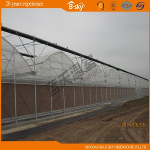 China Supplier High Quality Single-Layer Film Greenhouse