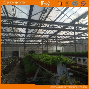 High Light Transmittance Glass Greenhouse with Auto environment Control System