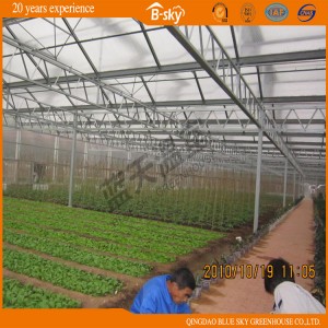 Durable Venlo Type Greenhouse Covered by Glass Durable Venlo Type Greenhouse Covered by Glass