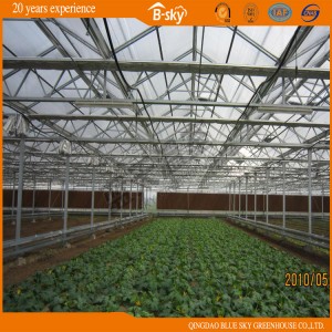 Long Life-Span Multi-Span Greenhouse with Venlo Structure
